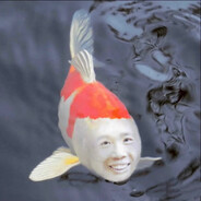 听说现在的你成了大锦鲤