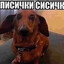 милана стар