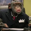 The Monke President