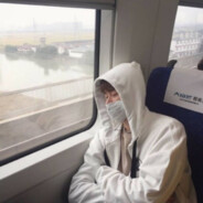 夕阳红枪法的猪