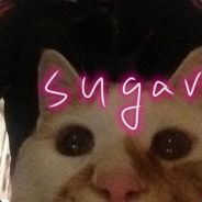 我要炸啦(´･ω･`)