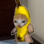 Banana Cat