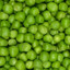 Pea