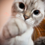 朝九晚五打工人