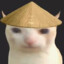 cattuccino