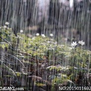 一位不愿透露姓名的棋