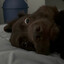 Kilo
