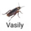 vasily