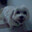 Fifi6456