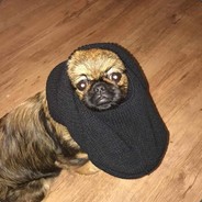 kosciej BLACK DRAGON TEAM