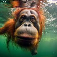 watermonkey