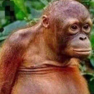 -RaTtL3- - steam id 76561198838531319