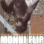 MONKI FLIP