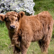 t.tv/stimpack_plays - steam id 76561197984831897