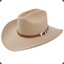 cowboyhat.jpeg