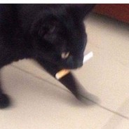 Ебать жмыхнуло