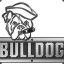 Bulldog