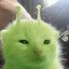 Jåji