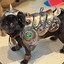 warpug