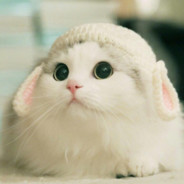 发抖的小喵喵喵