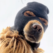 一比十五我开转