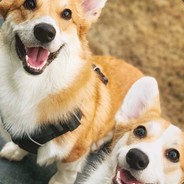 幼儿园妍妍老师