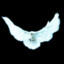 erdem