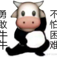 牛牛超硬🐂