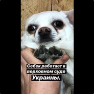 Себек порода. Себек 001к. Себек пес. Себек Мем. Себек 0000000000001k