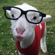 d1ngus - steam id 76561197961359624