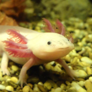 C:\Users\unconnectable>