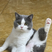 一天不打积阳德，两天不打积积阳阳德