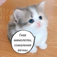 portalll - steam id 76561199796008188