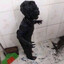 SAKAT_TIMI