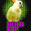 Bird Up!