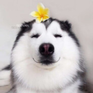 三月三&The march of third