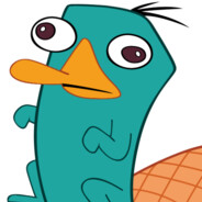 Perry **********.com