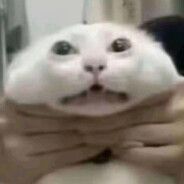 常常应到的未到