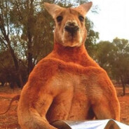 Cherdak - steam id 76561199146119584