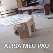 alisa meu pau