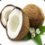 MkP Coconut