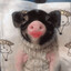 the liptstick pig 𓃟