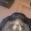Peppi