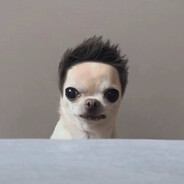 Graure greu de anvins