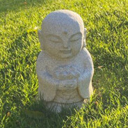 собачий папа