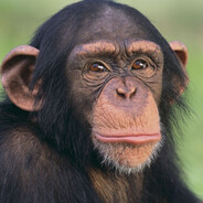 This guy --->