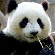 蓟县上仓东塔庄鱼塘主