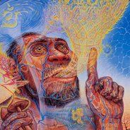 stoned ape