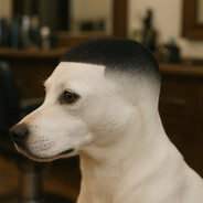 LilPupWalkEmDownWitDaFade