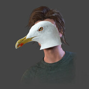 STEVEGULL